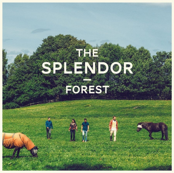 Splendor - Forest i gruppen VINYL / Toppsäljare hos Bengans Skivbutik AB (1142506)