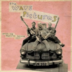 Wave Pictures - Great Big Flamingo Burning Moon i gruppen CD / Rock hos Bengans Skivbutik AB (1145975)