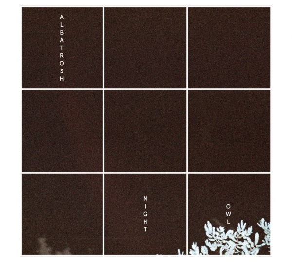 Albatrosh - Night Owl i gruppen VINYL / Toppsäljare hos Bengans Skivbutik AB (1146814)