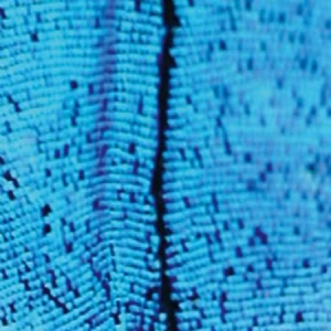 2562 - New Today i gruppen CD / Pop hos Bengans Skivbutik AB (1151432)