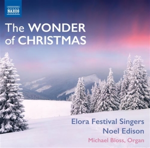 Various Composers - The Wonder Of Christmas i gruppen CD / Julmusik,Klassiskt hos Bengans Skivbutik AB (1153903)