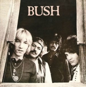 Bush - Bush i gruppen CD / Pop-Rock hos Bengans Skivbutik AB (1154965)