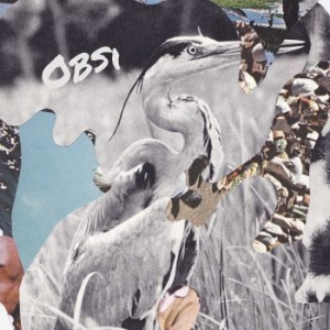 Obsi - Obsi i gruppen CD / Pop-Rock hos Bengans Skivbutik AB (1161338)