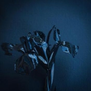 A Swarm Of The Sun - The Rifts i gruppen CD / Hårdrock/ Heavy metal hos Bengans Skivbutik AB (1166187)