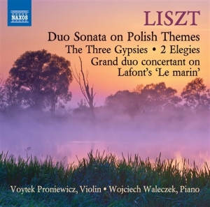 Liszt - Music For Violin And Piano i gruppen Externt_Lager / Naxoslager hos Bengans Skivbutik AB (1167907)