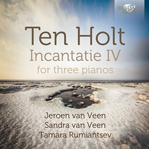 Ten Holt - Incantatie Iv i gruppen Externt_Lager / Naxoslager hos Bengans Skivbutik AB (1167978)