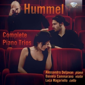 Hummel - Piano Trios i gruppen Externt_Lager / Naxoslager hos Bengans Skivbutik AB (1167979)