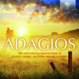 Various Composers - Adagios i gruppen Externt_Lager / Naxoslager hos Bengans Skivbutik AB (1168312)