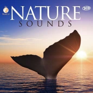 Blandade Artister - Nature Sounds i gruppen CD / Pop-Rock hos Bengans Skivbutik AB (1173413)