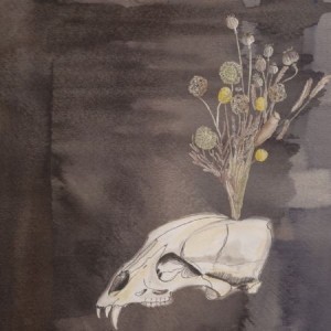 Gunn Steve And Black Twig Pickers - Seasonal Hire - Ltd Color Edition i gruppen VINYL / Pop hos Bengans Skivbutik AB (1187322)