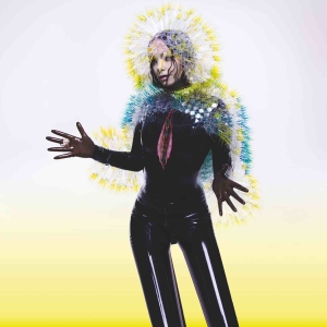 Bjork - Vulnicura i gruppen CD / Elektroniskt hos Bengans Skivbutik AB (1190045)