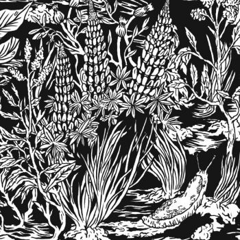 Eternal Tapestry - Wild Strawberries i gruppen CD / Toppsäljare hos Bengans Skivbutik AB (1191606)