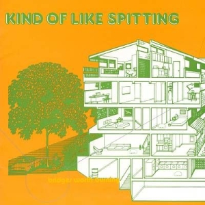 Kind Of Like Spitting - Bridges Worth Burning i gruppen VINYL / Pop-Rock hos Bengans Skivbutik AB (1193525)