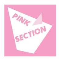 Pink Section - Pink Section i gruppen VINYL / Pop-Rock hos Bengans Skivbutik AB (1193796)