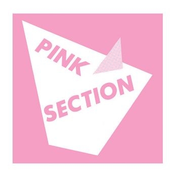 Pink Section - Pink Section i gruppen VINYL / Toppsäljare hos Bengans Skivbutik AB (1193796)