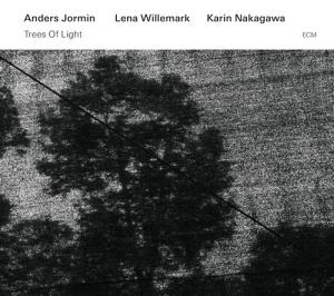 Jormin / Willemark / Nakagawa - Trees Of Light i gruppen CD / Jazz hos Bengans Skivbutik AB (1244213)