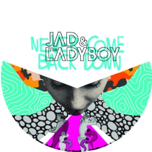 Jad & The Ladyboy - Never Come Back Down i gruppen VINYL / Dans/Techno hos Bengans Skivbutik AB (1244308)