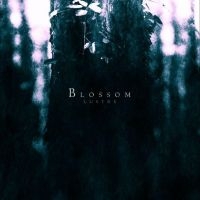 Lustre - Blossom in the group CD / Hårdrock,Svensk Folkmusik at Bengans Skivbutik AB (1247388)