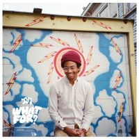 Toro Y Moi - What For? i gruppen CD / Hårdrock,Pop-Rock hos Bengans Skivbutik AB (1247466)