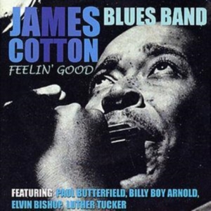 Cotton James - Feelin? Good i gruppen CD / Pop-Rock hos Bengans Skivbutik AB (1266486)