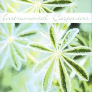 Instrumental Carpenters - Instrumental Carpenters i gruppen CD / Pop-Rock hos Bengans Skivbutik AB (1267013)