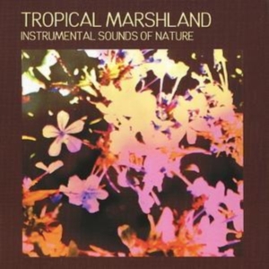Instrumental Sounds Of Nature - Tropical Marshland i gruppen CD / Pop-Rock hos Bengans Skivbutik AB (1267032)