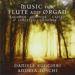 Various Composers - Music For Flute And Organ i gruppen Externt_Lager / Naxoslager hos Bengans Skivbutik AB (1273085)