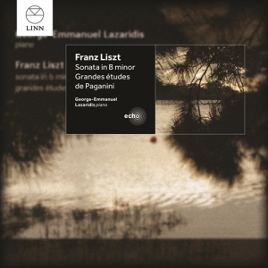 Liszt Franz - Sonata/Grandes Etudes i gruppen Externt_Lager / Naxoslager hos Bengans Skivbutik AB (1273307)