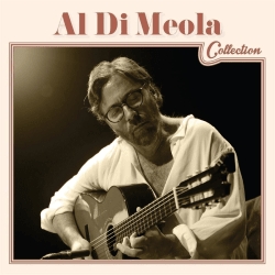 Di Meola Al - Al Di Meola Collection i gruppen CD / Jazz hos Bengans Skivbutik AB (1273340)