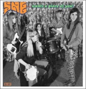 She - Wants A Piece Of You i gruppen VINYL / Pop-Rock hos Bengans Skivbutik AB (1274500)