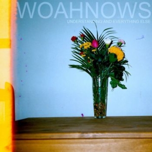 Woahnows - Understanding And Everything Else i gruppen VINYL / Rock hos Bengans Skivbutik AB (1275696)