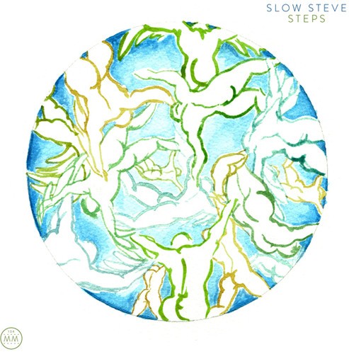 Slow Steve - Steps i gruppen VINYL / Rock hos Bengans Skivbutik AB (1276443)