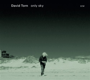 Torn David - Only Sky i gruppen CD / Jazz hos Bengans Skivbutik AB (1278737)