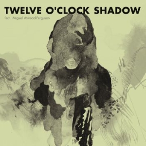 Flako - 12 O'clock Shadow i gruppen VINYL / Pop hos Bengans Skivbutik AB (1288674)