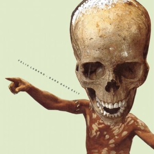 Felix Laband - Dark Days Exit i gruppen VINYL / Pop-Rock hos Bengans Skivbutik AB (1296616)