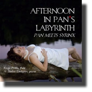Kinga Práda / Stefan Lindgren - Afternoon In Pan´S Labyrinth i gruppen Externt_Lager / Naxoslager hos Bengans Skivbutik AB (1317769)