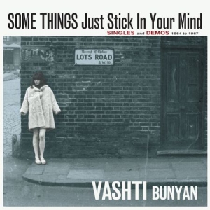 Bunyan Vashti - Some Things Just Stick In Your Mind i gruppen CD / Pop hos Bengans Skivbutik AB (1387027)