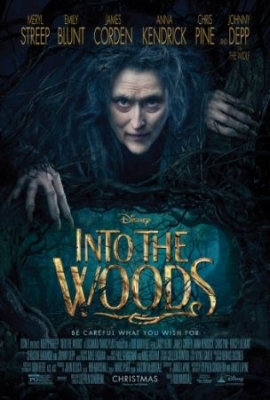 Into The Woods (2015) i gruppen ÖVRIGT / Film DVD hos Bengans Skivbutik AB (1479465)