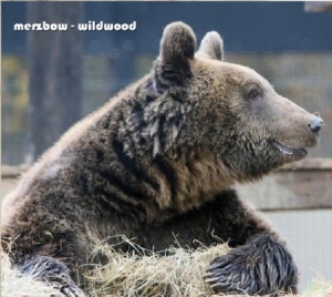 Merzbow - Wildwood i gruppen CD / Pop hos Bengans Skivbutik AB (1484035)