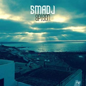 Smadj - Spleen i gruppen CD / Jazz/Blues hos Bengans Skivbutik AB (1485097)