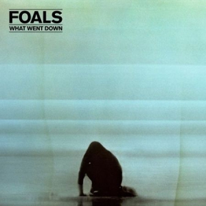 Foals - What Went Down i gruppen VINYL / Pop-Rock hos Bengans Skivbutik AB (1485885)