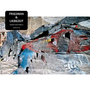 Friedman & Liebezeit - Secret Rhythms 3 in the group CD / Pop at Bengans Skivbutik AB (1490083)