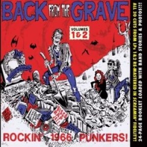 V/A - Back From The Grave Vol 1 & 2 - Vol 1 & 2 - Back From The Grave i gruppen CD / Rock hos Bengans Skivbutik AB (1498227)