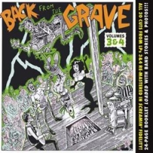 V/A - Back From The Grave Vol 3 & 4 - Vol 3 & 4 - Back From The Grave i gruppen CD / Rock hos Bengans Skivbutik AB (1498229)