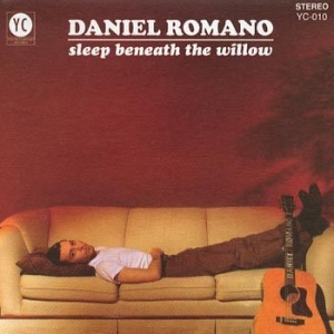 Daniel Romano - Sleep Beneath The Willow i gruppen CD / Rock hos Bengans Skivbutik AB (1515257)