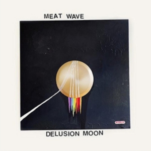 Meat Wave - Delusion Moon i gruppen CD / Pop-Rock hos Bengans Skivbutik AB (1516138)