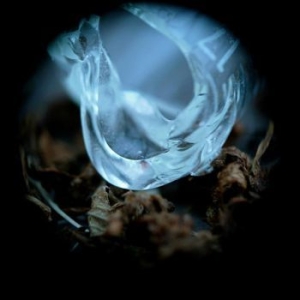 Ossicles - Mantelpiece i gruppen CD / Hårdrock hos Bengans Skivbutik AB (1516461)