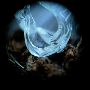 Ossicles - Mantelpiece i gruppen CD / Hårdrock,Pop-Rock hos Bengans Skivbutik AB (1516461)