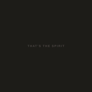 Bring Me The Horizon - That's The Spirit i gruppen VINYL / Hårdrock,Pop-Rock hos Bengans Skivbutik AB (1516634)
