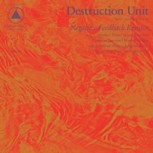 Destruction Unit - Negative Feedback Resistor i gruppen CD / Pop-Rock hos Bengans Skivbutik AB (1517093)
